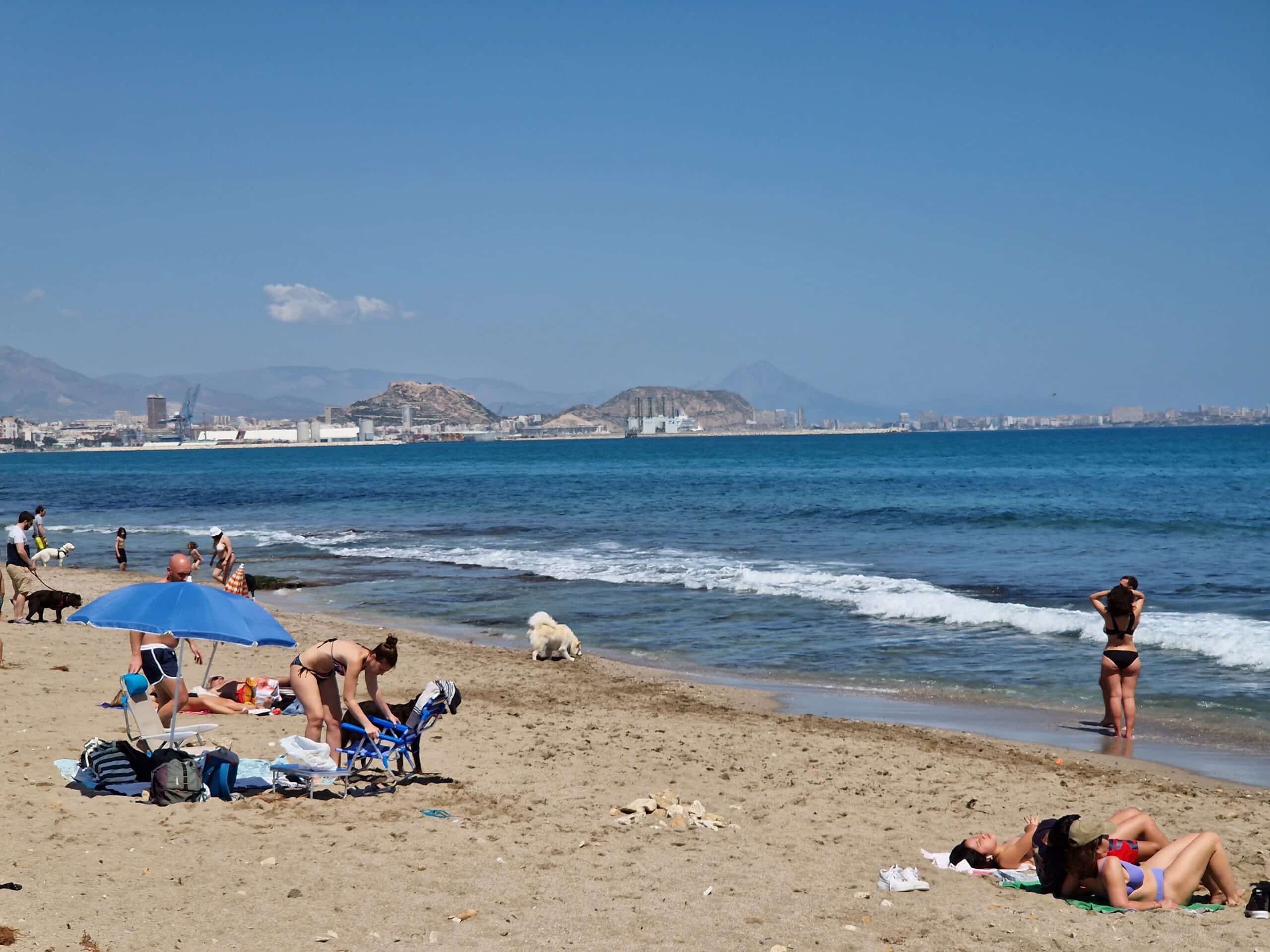 Dog's beach in Alicante